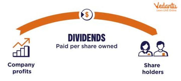 What is dividend revenue?