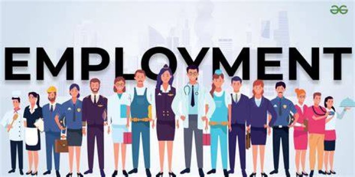 What is employment like in Spain?