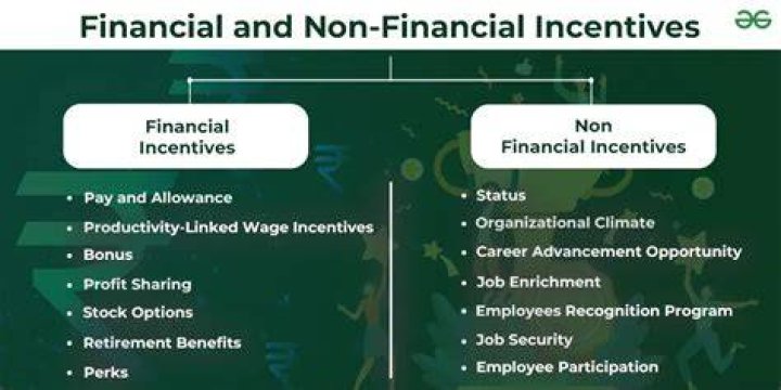 What is financial and non financial incentive?
