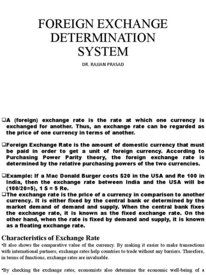 What is foreign exchange determination system?