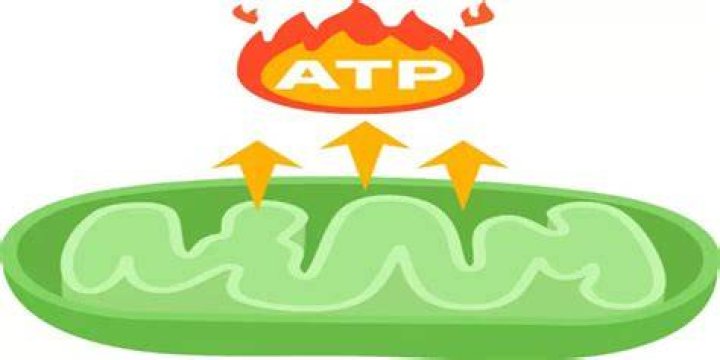 What is full form of AAT?