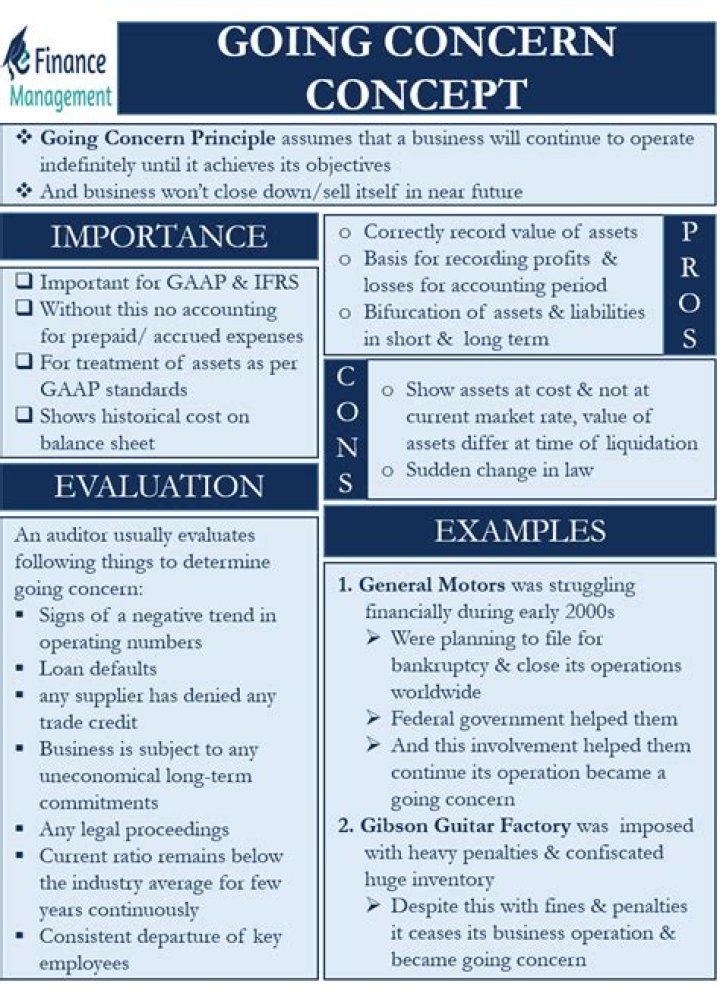 What is going concern principle with example?