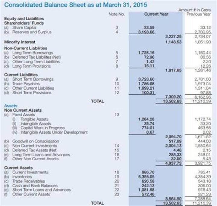 What is in consolidated financial statements?