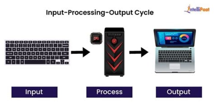 What is IPO cycle with example for class 3?