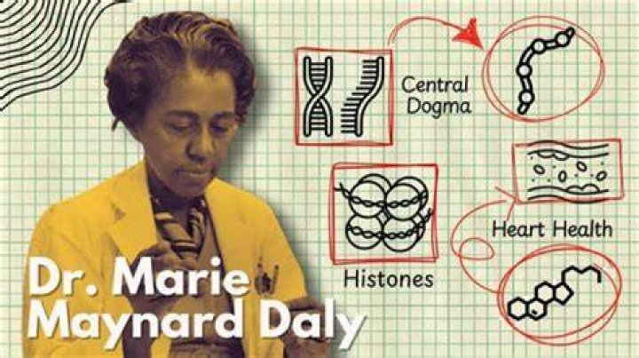 What is Marie Maynard Daly most known for?