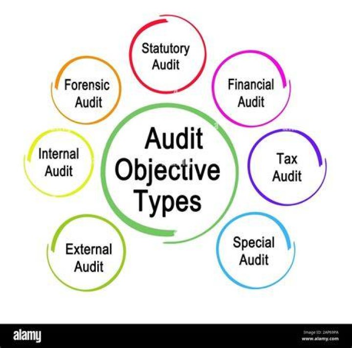 What is meant by auditing and its objectives?