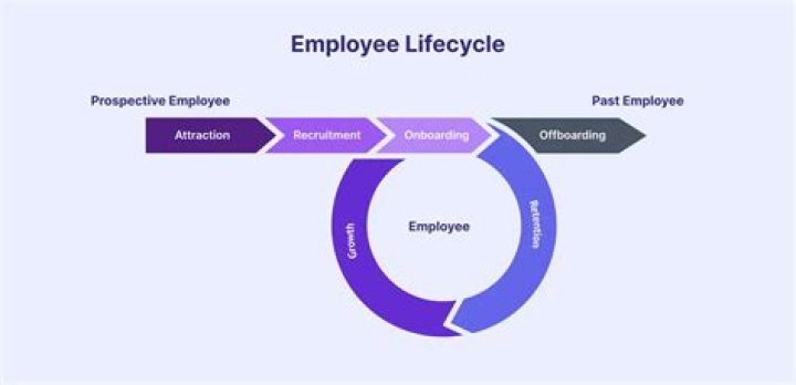 What is meant by employee experience?