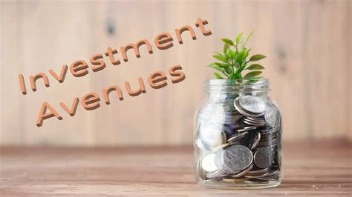 What is meant by investment avenues?
