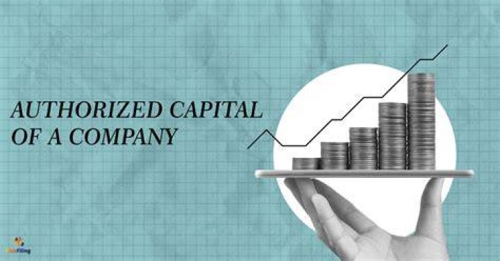What is meant by stock audit?