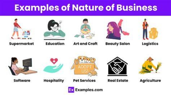 What is nature of the business?