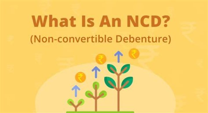 What is non convertible debentures?
