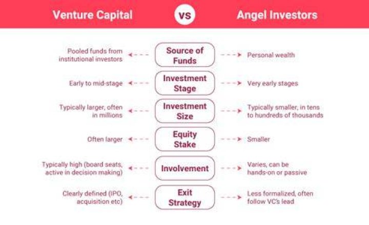 What is one difference between angels and venture capitalists?