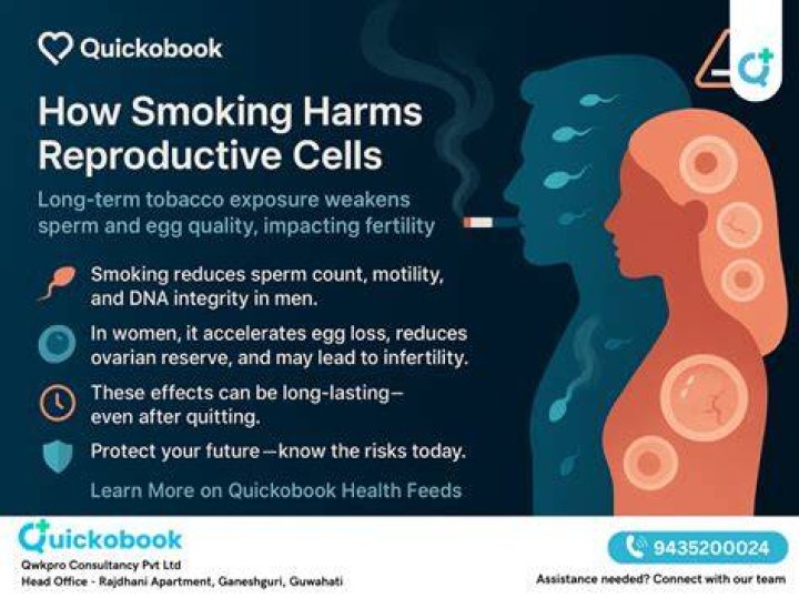 What is one reason that government taxes on cigarettes reduce smoking?