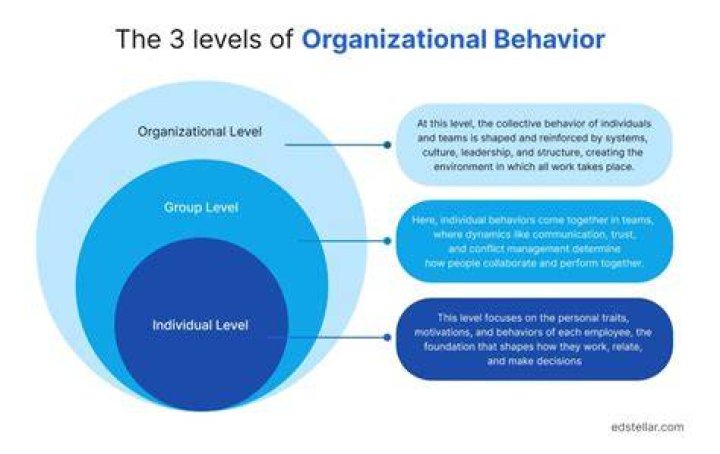 What is Organisational Behaviour how it is related to other disciplines?