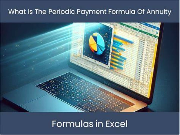 What is periodic payment amount?
