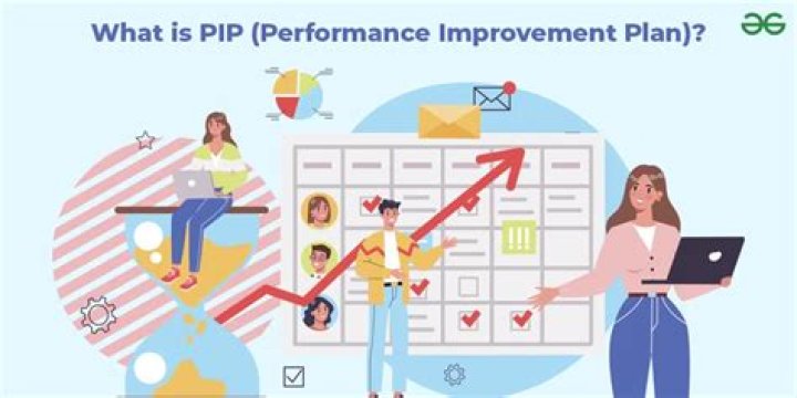 What is PIP and how does it work?