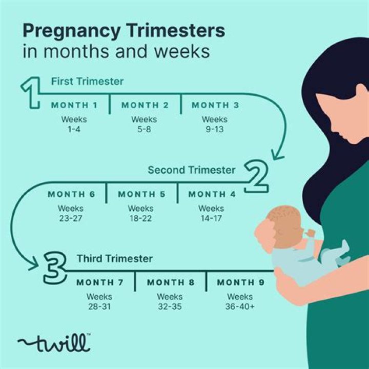 What is pregnancy considered for insurance?
