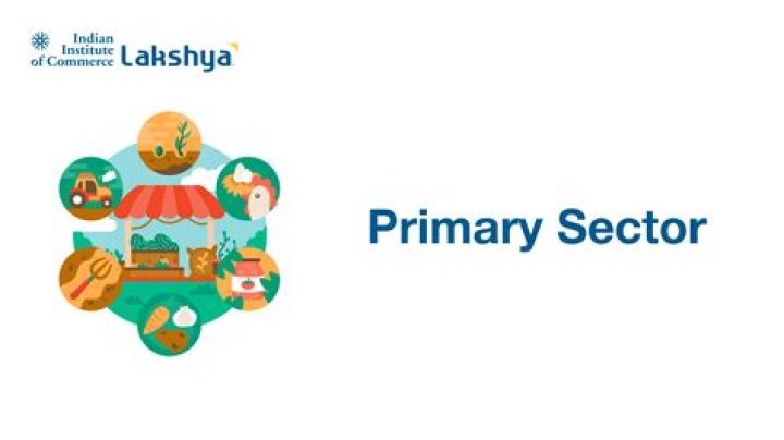What is primary sector so called?