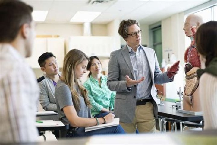 What is professor job?