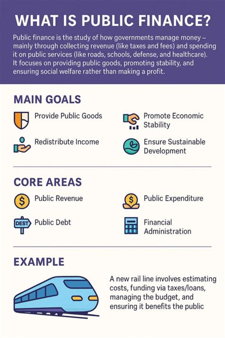 What is public finance example?