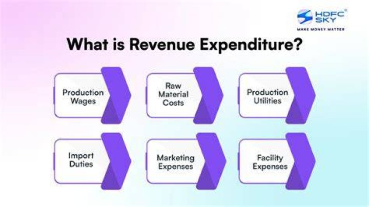 What is revenue expenditure give an example?