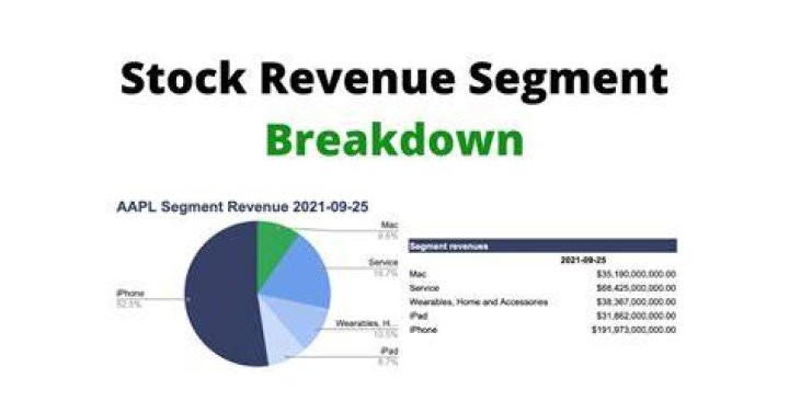What is segment revenue?
