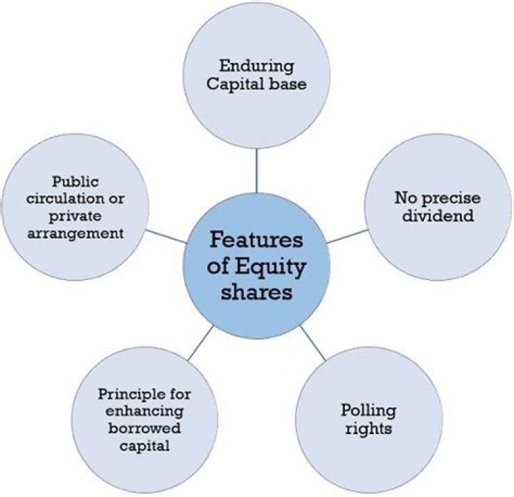 What is shares and explain its features?