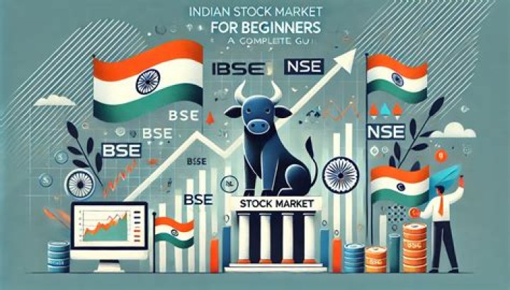 What is stock market in India for beginners?