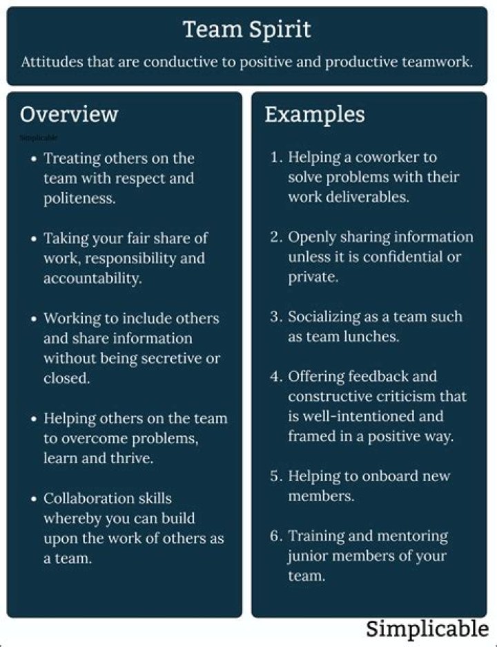 What is team spirit its importance?