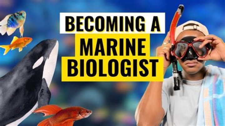 What is the average day of a marine biologist?