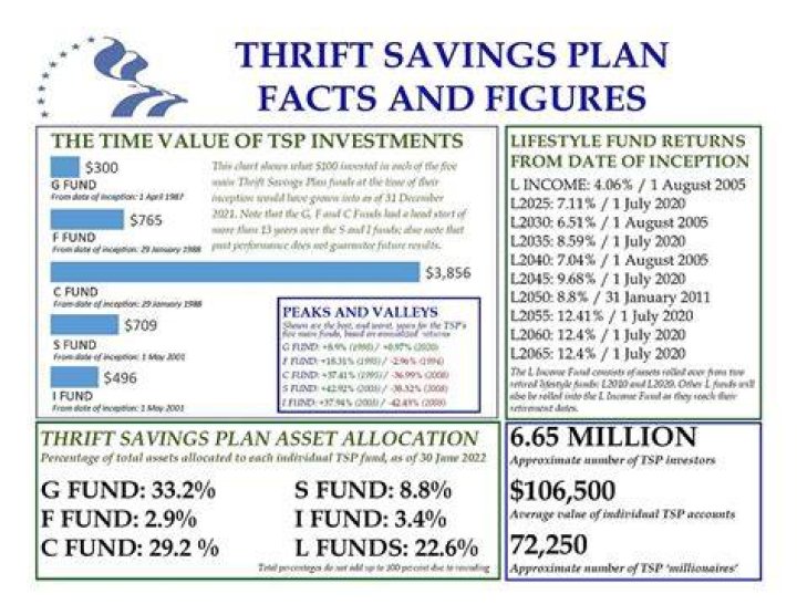 What is the best fund for Thrift Savings Plan?