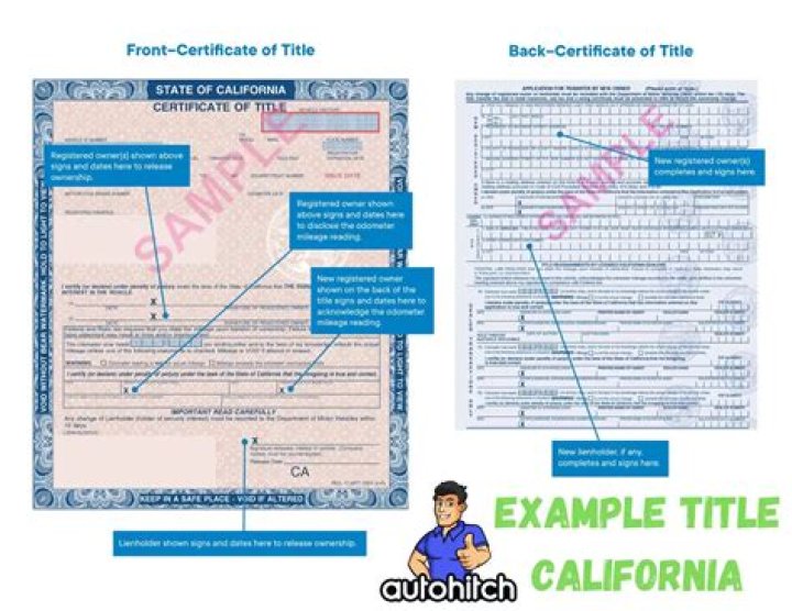 What is the CA Form 100?
