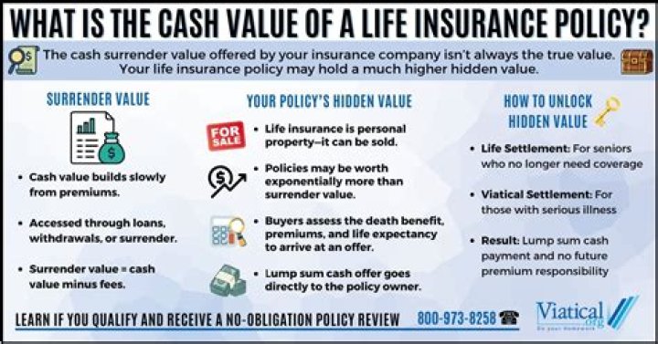 What is the cash or market value of a life insurance policy?