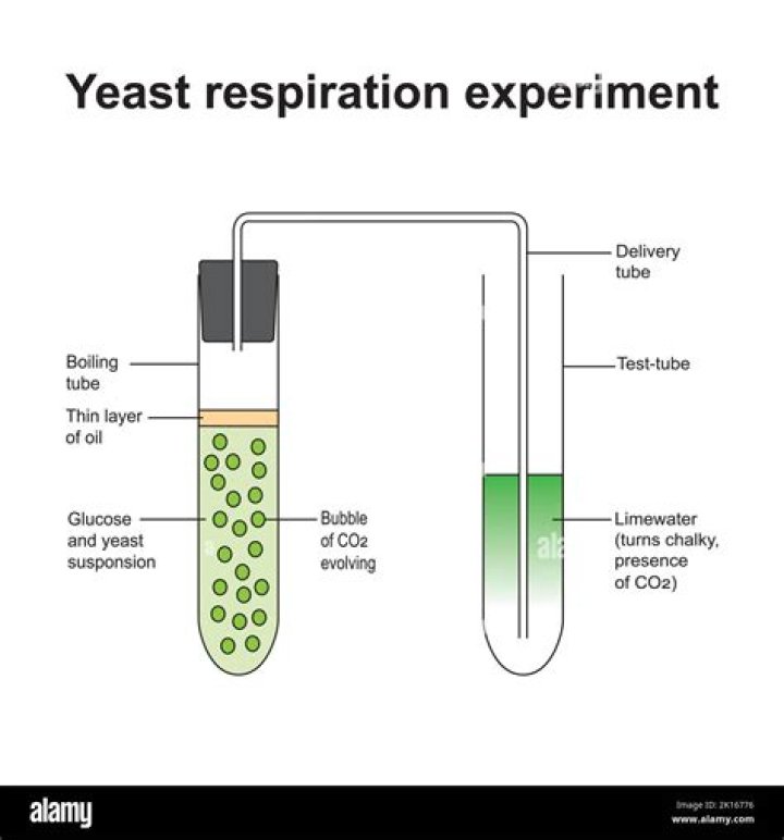 What is the charge on the silk cloth after the student performs this experiment?