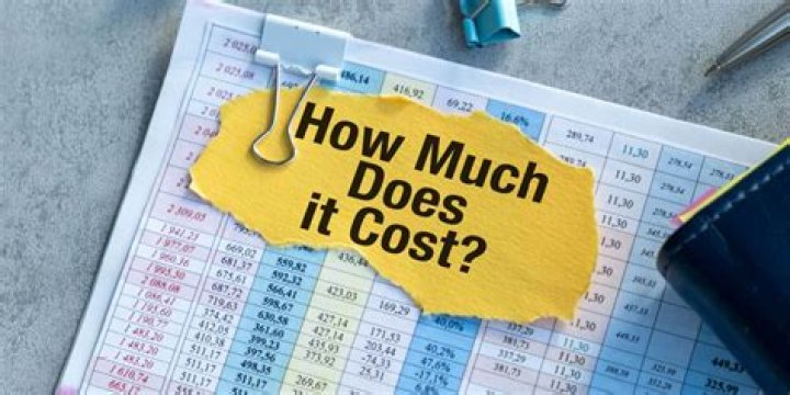 What is the cost of holding cash?
