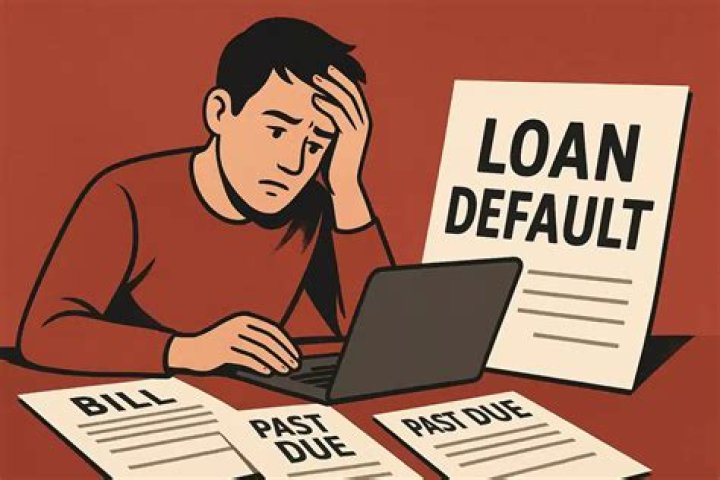 What is the default rate on loans?