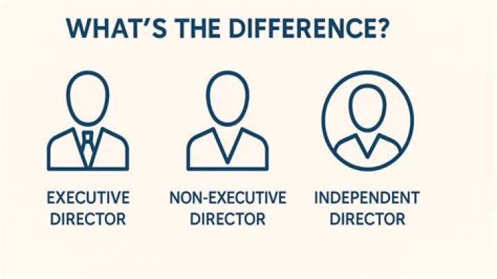 What is the difference between a director and a non-executive director?