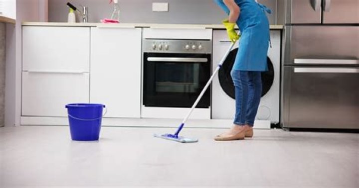 What is the difference between a housekeeper and a cleaning lady?