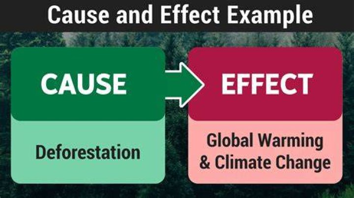 What is the difference between cause and effect allocation and arbitrary allocation?