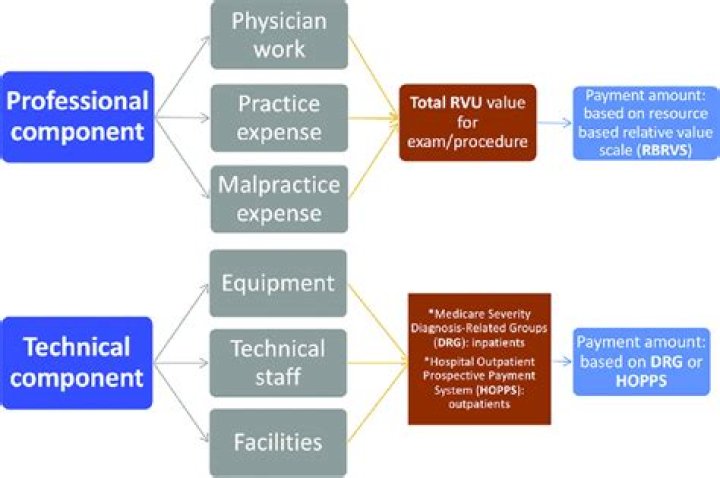 What is the difference between the technical component and professional component?