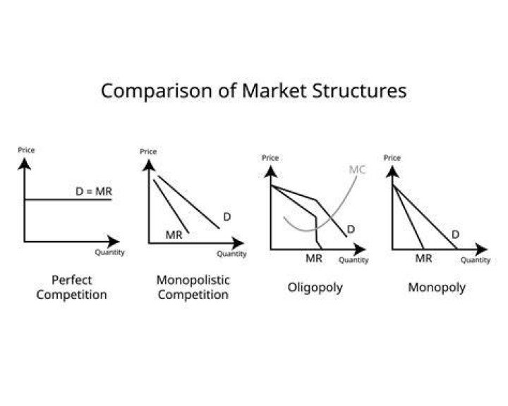 What is the difference between the two monopolies?