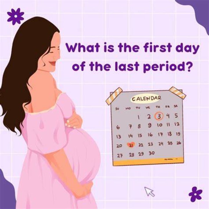 What is the due date of Pt return?