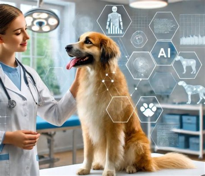 What is the future of vet?