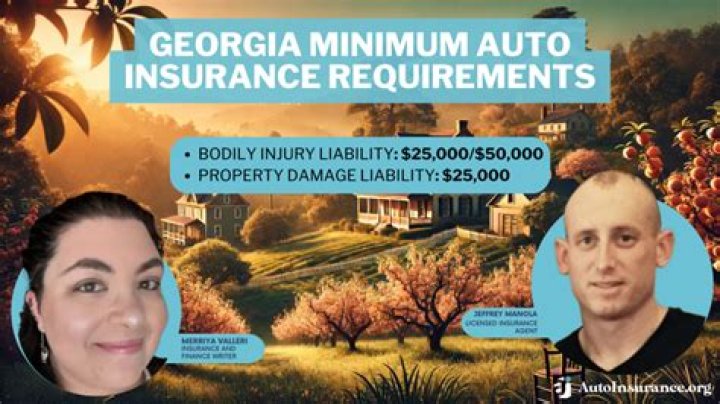 What is the Georgia Automobile Insurance Plan?