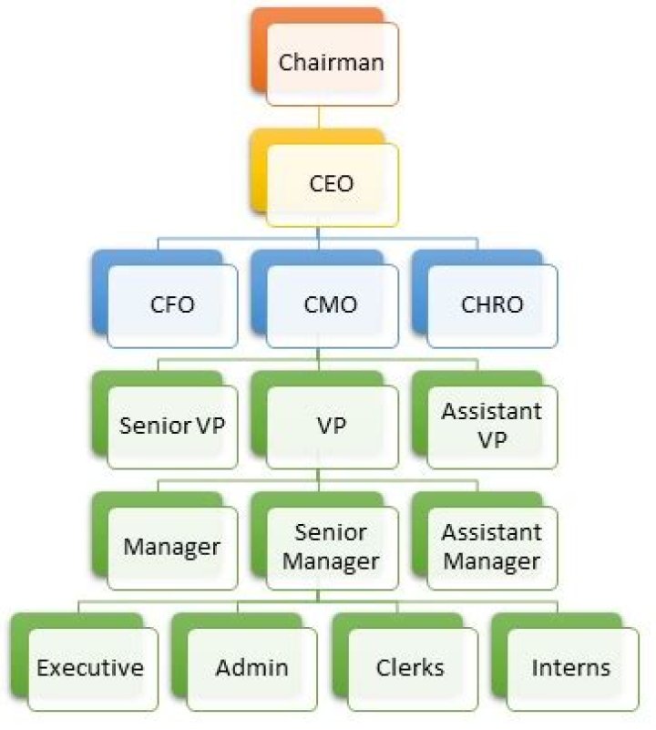 What is the hierarchy of job titles?