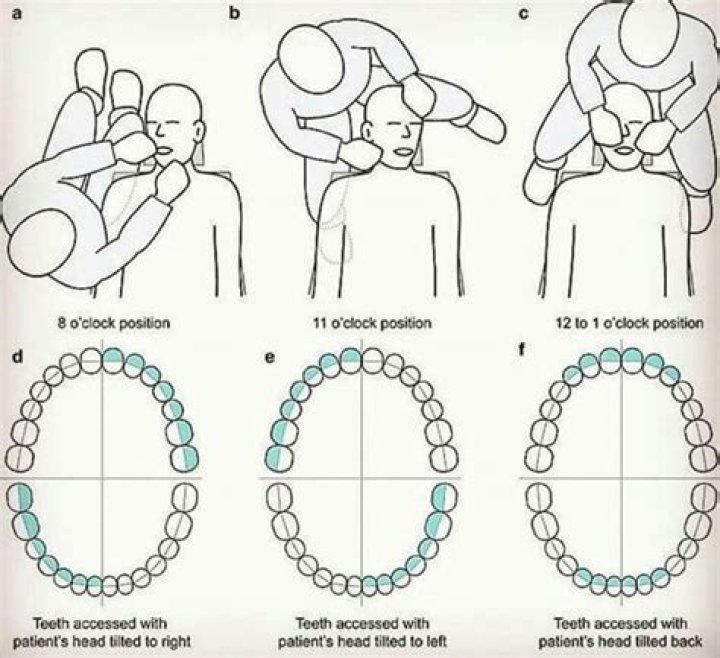 What is the highest position in dentistry?