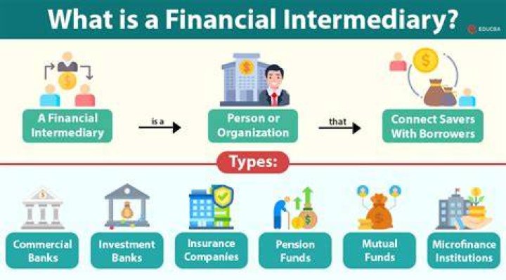 What is the importance of financial intermediaries in our financial system?