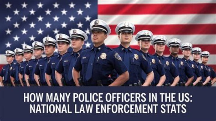 What is the importance of the law enforcement?