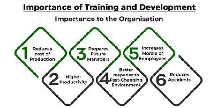 What is the importance of training and development in the business organization?