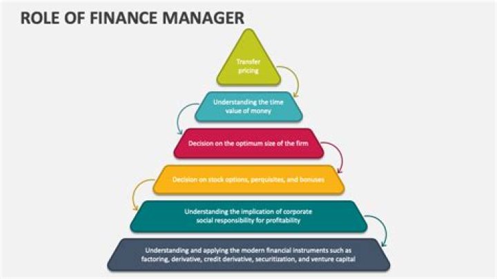 What is the important role of financial manager?